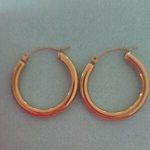 Elegant Gold Hoop Earrings